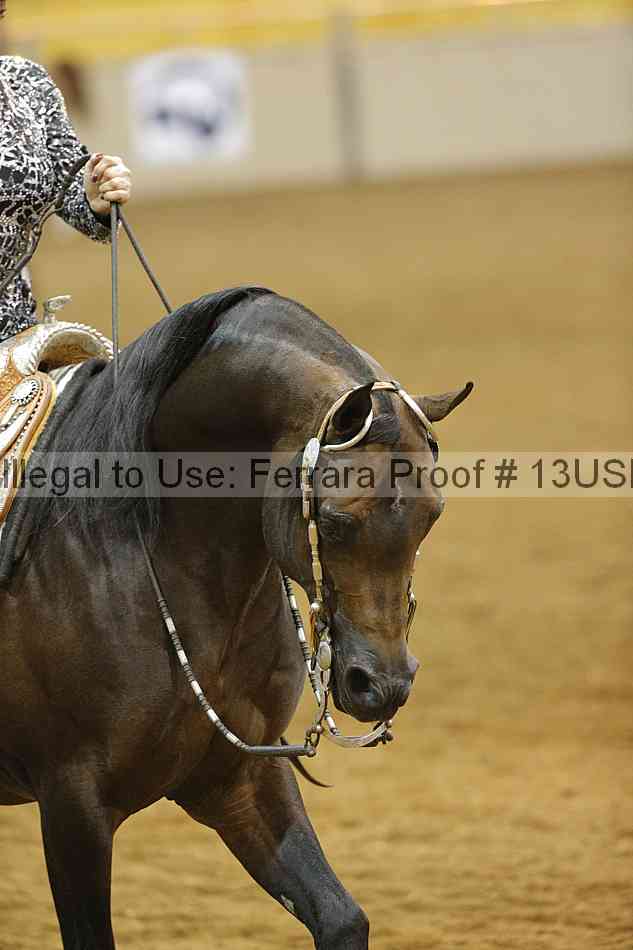 Proof 13usn_12028