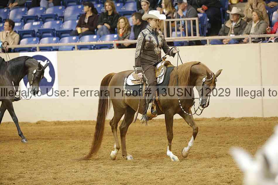 Proof 13usn_12029