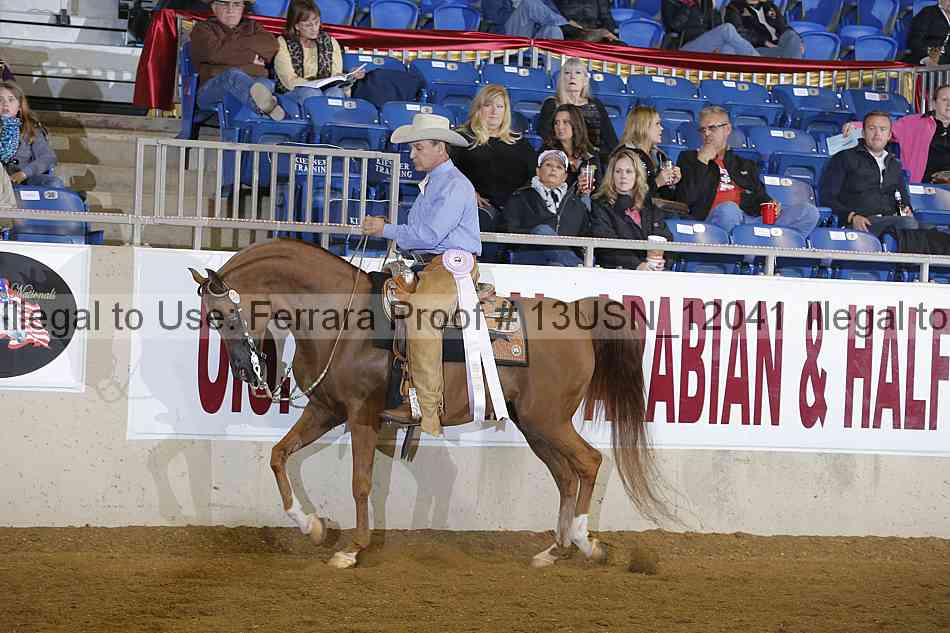 Proof 13usn_12041