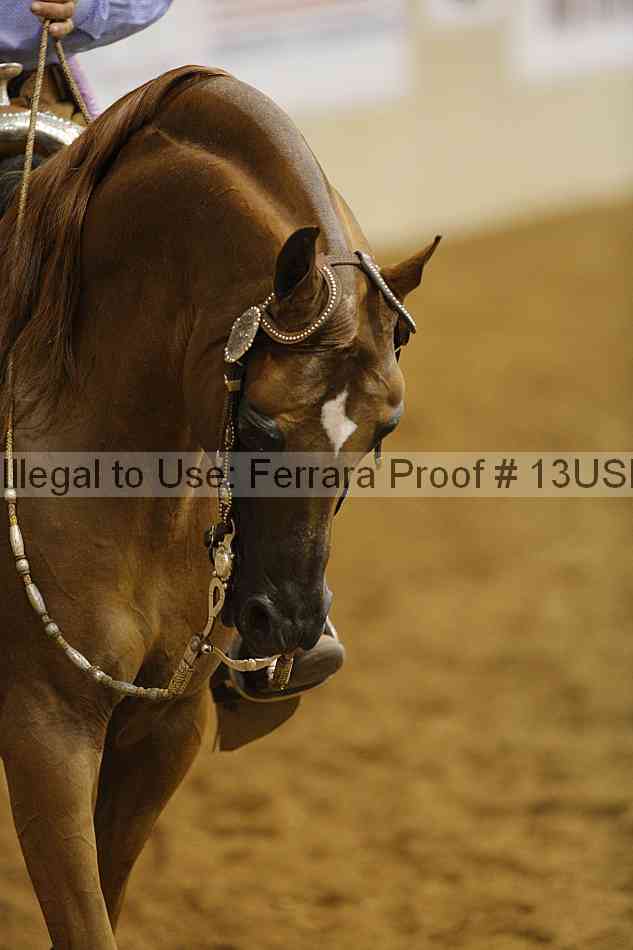 Proof 13usn_12043