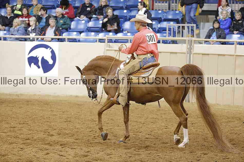 Proof 13usn_12066
