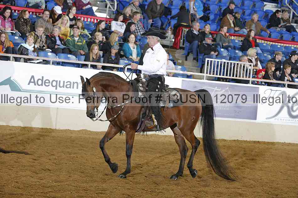 Proof 13usn_12079