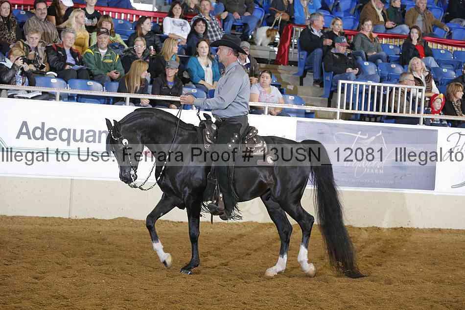 Proof 13usn_12081