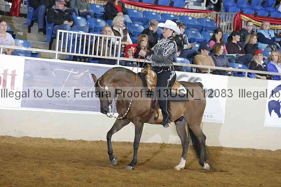 Proof 13usn_12083
