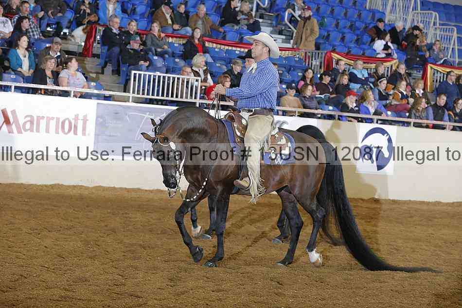Proof 13usn_12087
