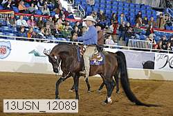 13usn_12089 proof