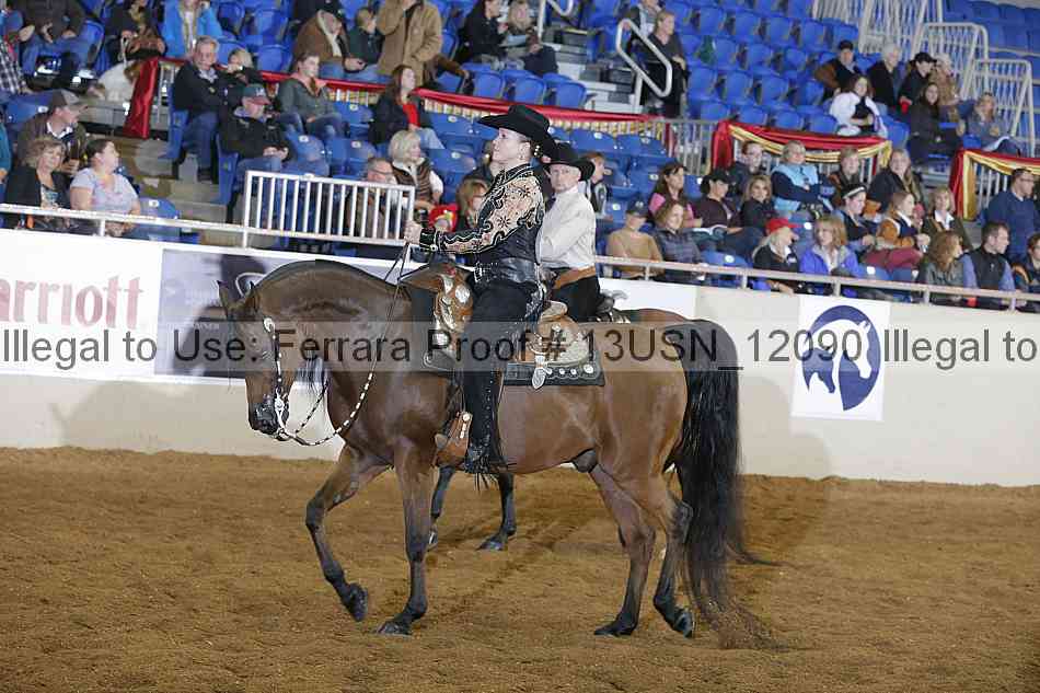 Proof 13usn_12090