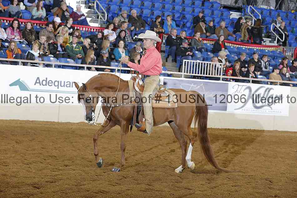Proof 13usn_12096
