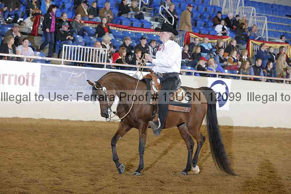 Proof 13usn_12099