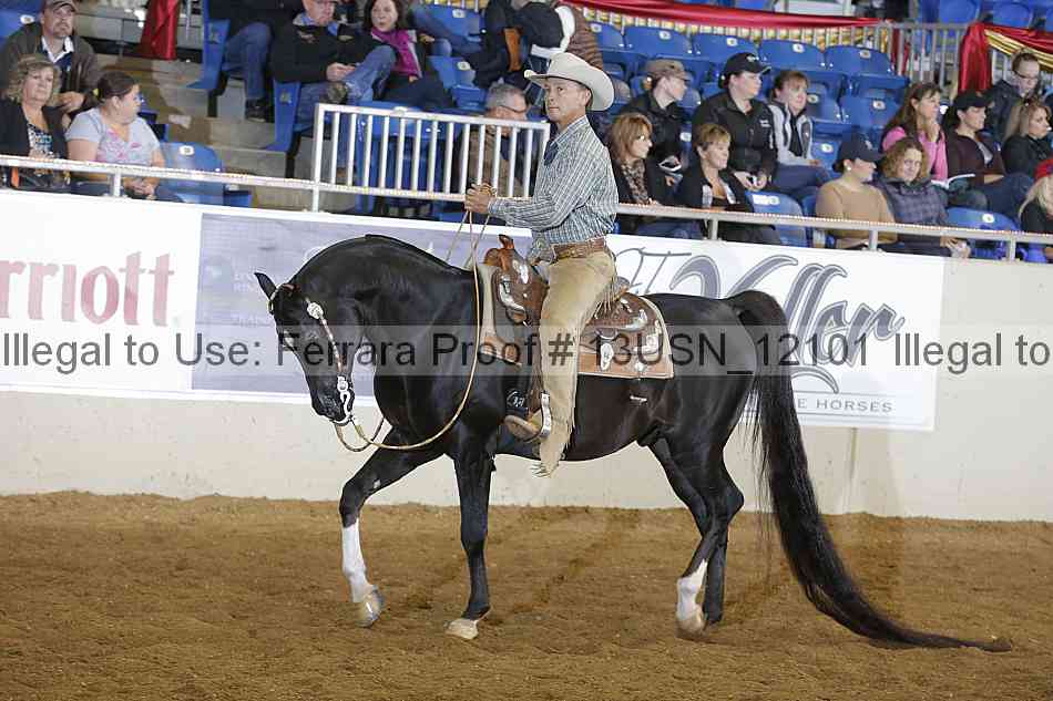 Proof 13usn_12101
