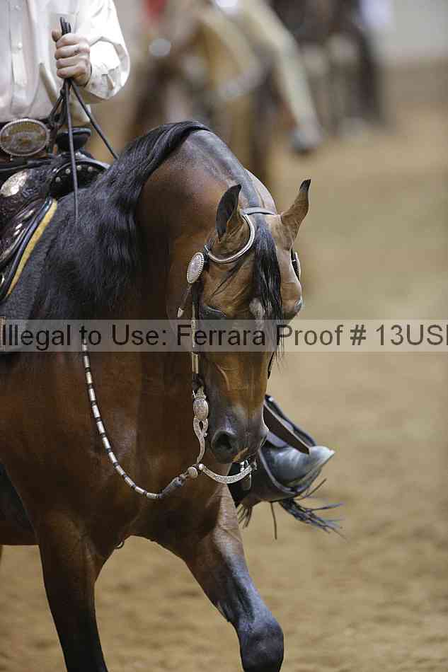 Proof 13usn_12105