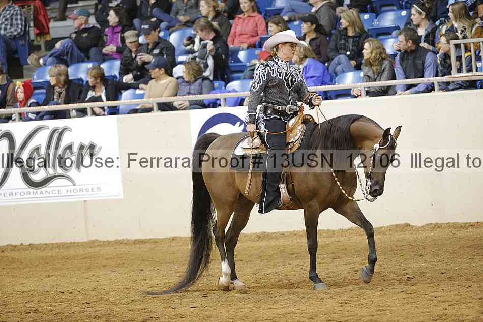 Proof 13usn_12106