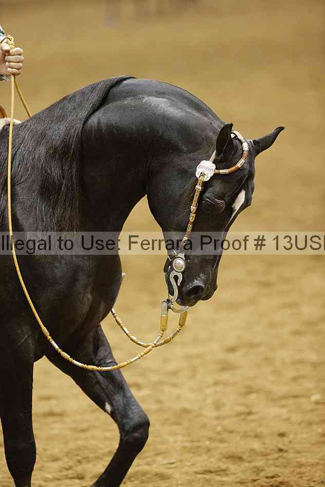 Proof 13usn_12110