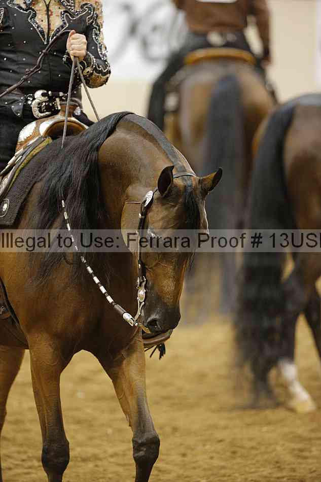 Proof 13usn_12111