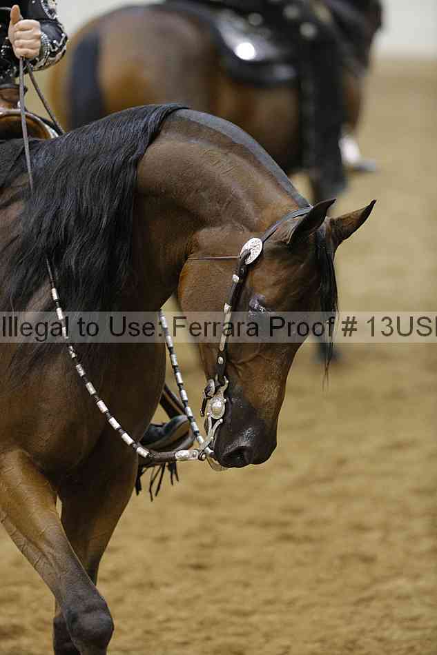 Proof 13usn_12112