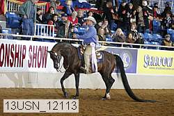 13usn_12113 proof