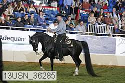 13usn_36285 proof