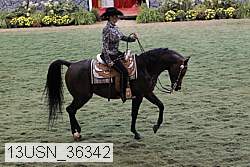 13usn_36342 proof