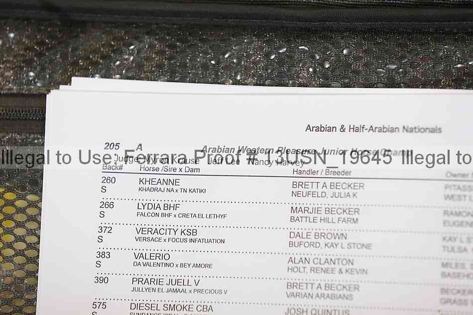 Proof 13usn_19645