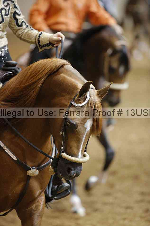 Proof 13usn_19763