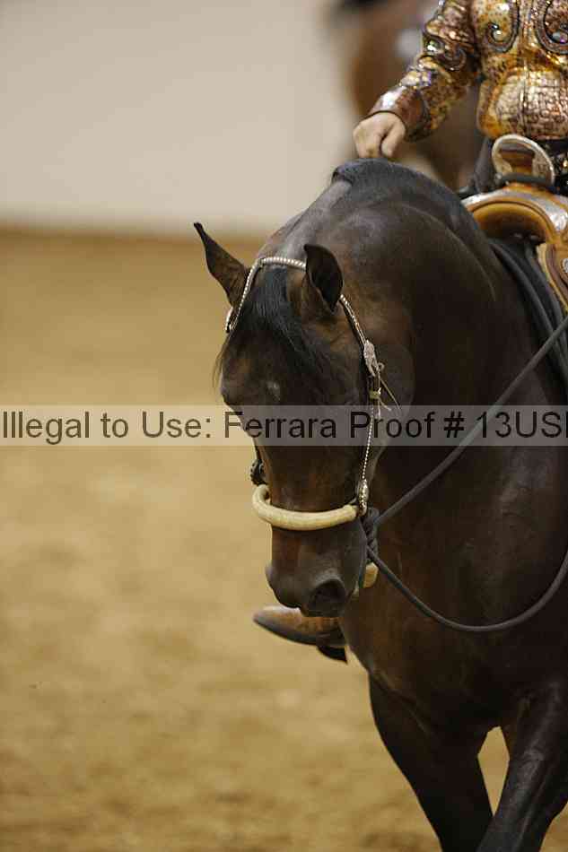 Proof 13usn_19766