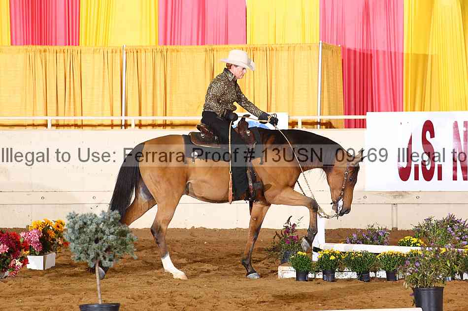 Proof 13usn_09169