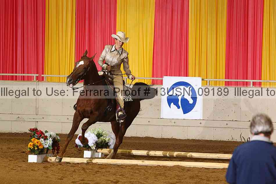 Proof 13usn_09189