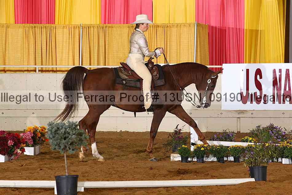 Proof 13usn_09190