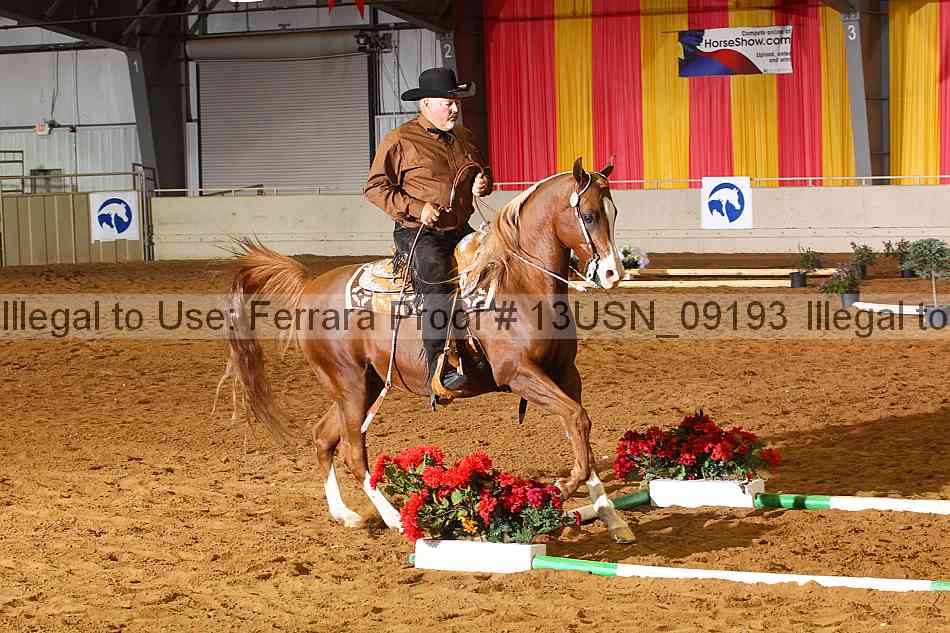 Proof 13usn_09193