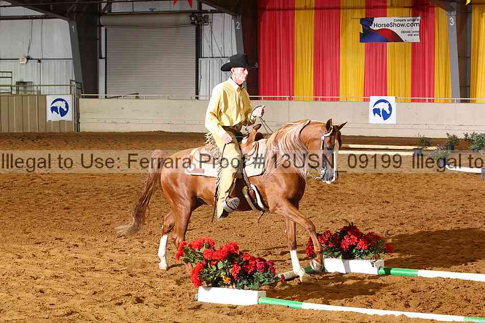 Proof 13usn_09199
