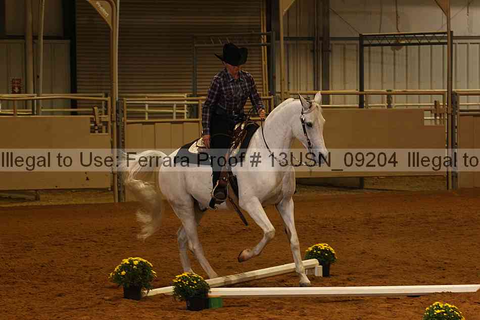 Proof 13usn_09204
