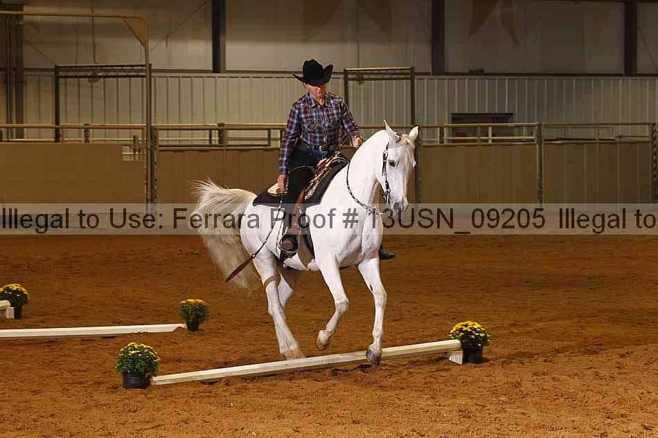 Proof 13usn_09205