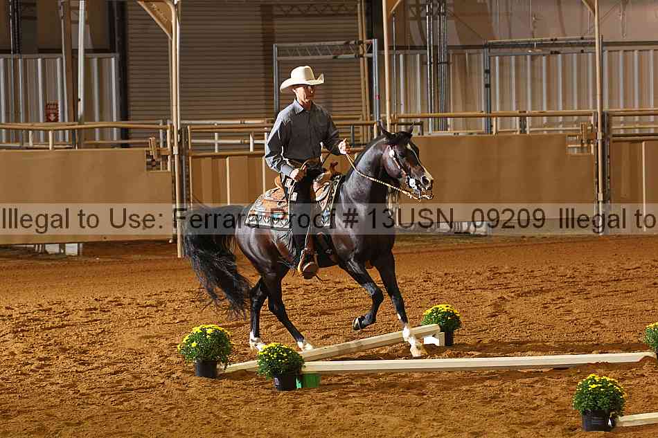 Proof 13usn_09209