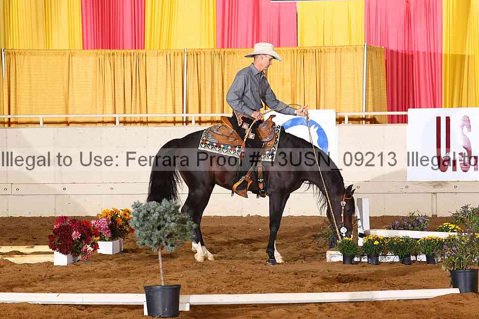 Proof 13usn_09213