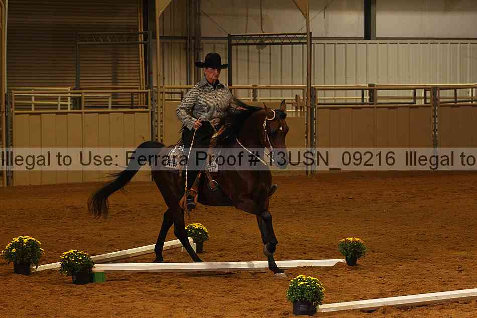 Proof 13usn_09216