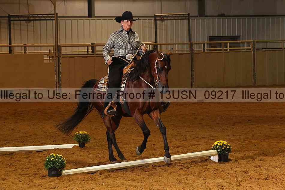 Proof 13usn_09217
