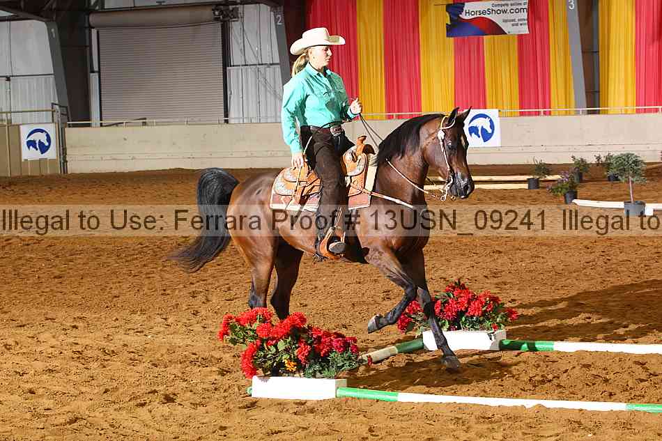 Proof 13usn_09241