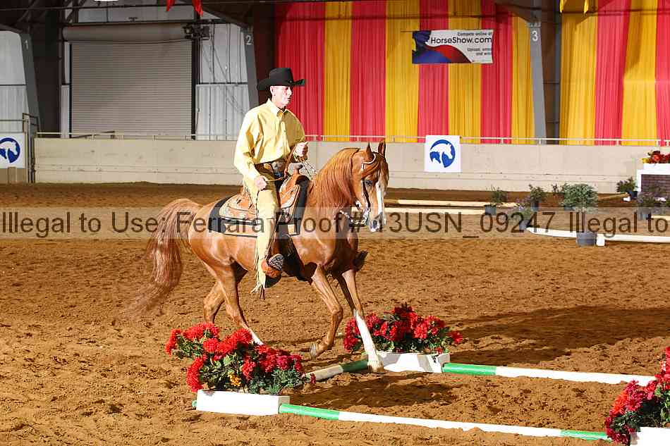 Proof 13usn_09247