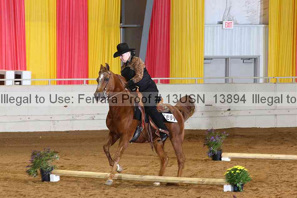 Proof 13usn_13894