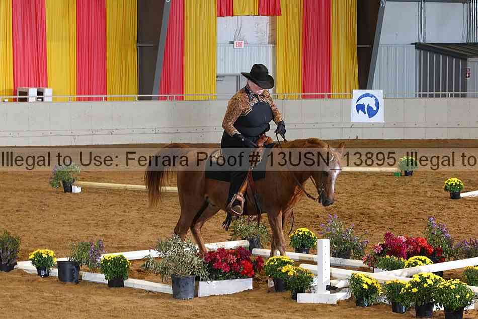 Proof 13usn_13895