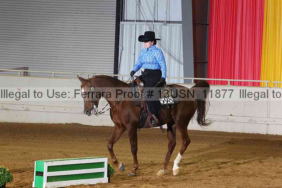 Proof 13usn_11877
