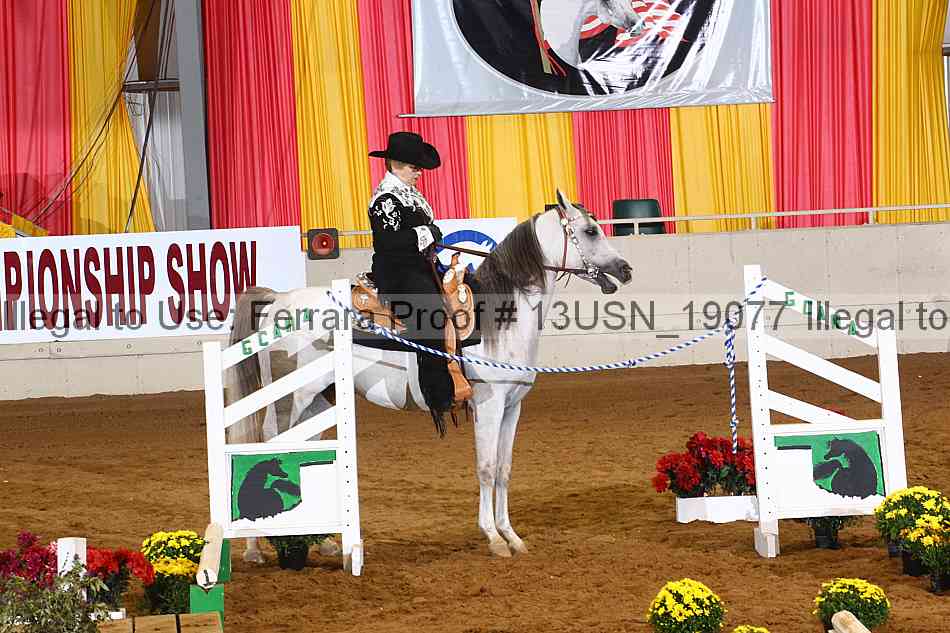 Proof 13usn_19077