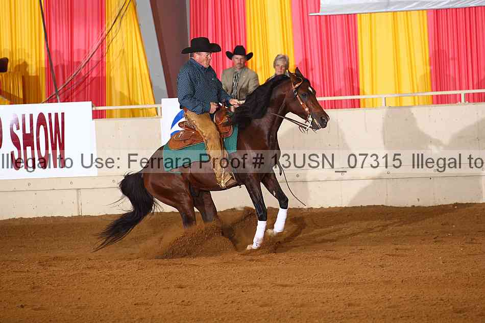 Proof 13usn_07315