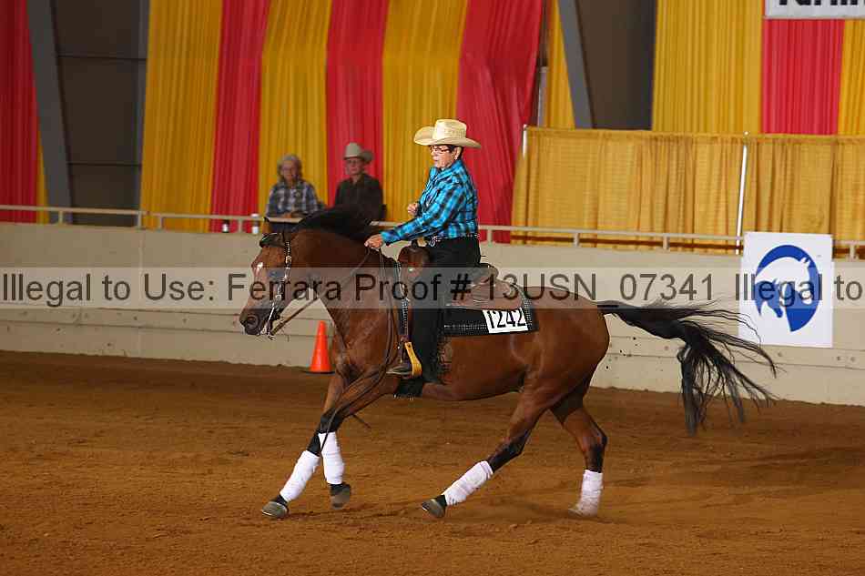 Proof 13usn_07341