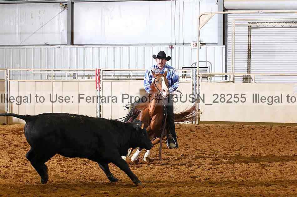 Proof 13usn_28255