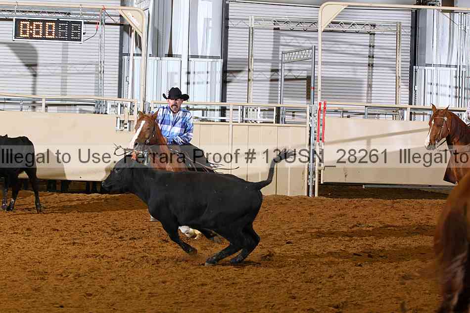 Proof 13usn_28261
