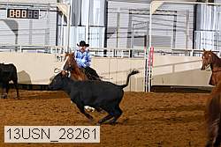 13usn_28261 proof