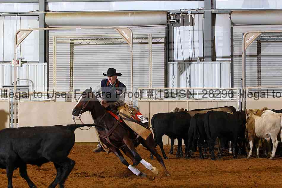 Proof 13usn_28296