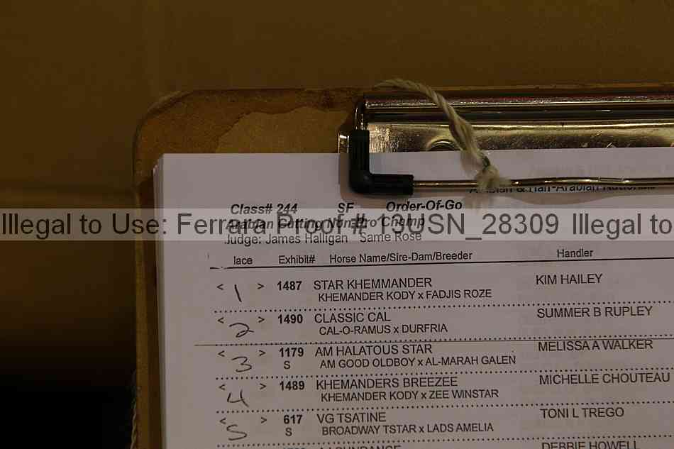 Proof 13usn_28309