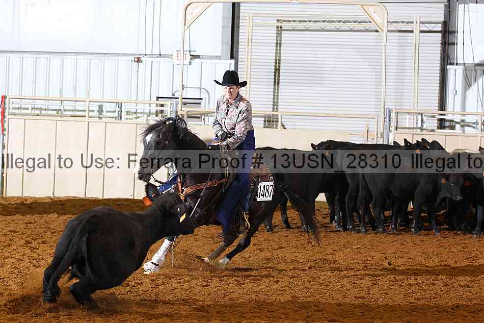 Proof 13usn_28310